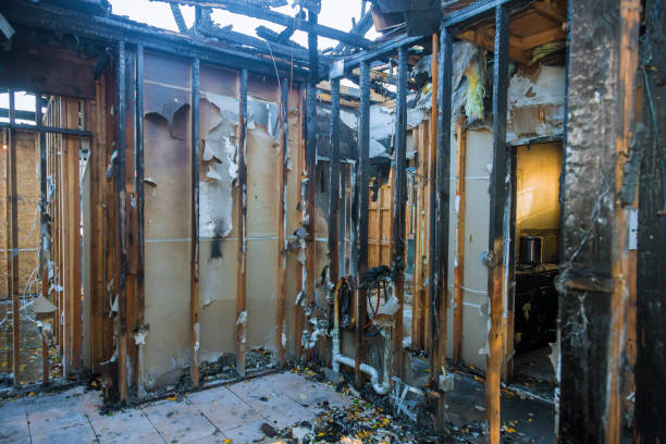 Professional Fire Damage Assessment technician working in Palm Valley, TX